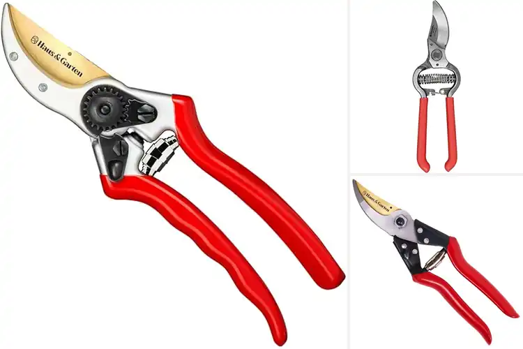 Detailed view of Best Bypass Pruners For Houseplants