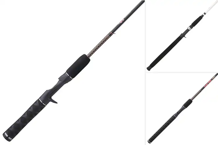 Detailed view of Best Casting Rods