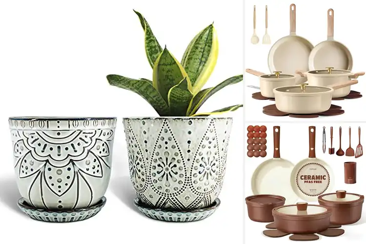 Detailed view of Best Ceramic Pots: Top Picks for Cooking & Planting