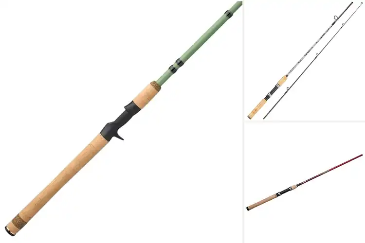 Detailed view of Best Composite Fishing Rods