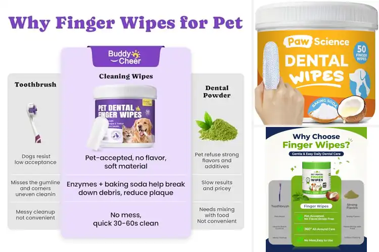 Detailed view of Best Dental Finger Wipes for Pets