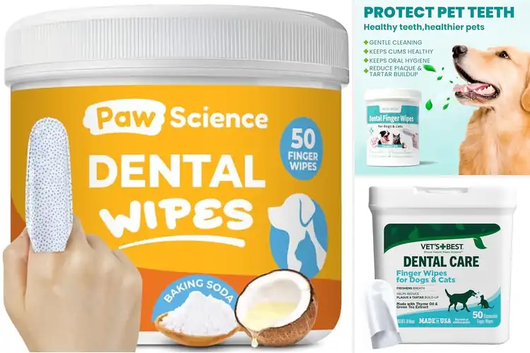 Detailed view of Best Natural Cat Dental Wipes