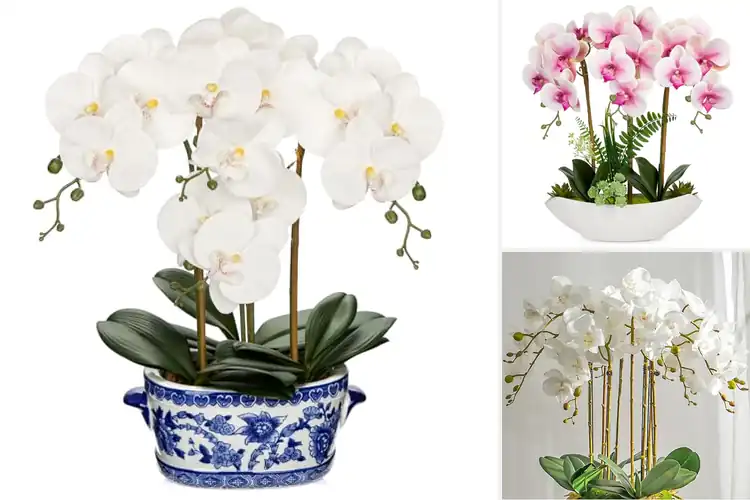 Detailed view of Best Orchid Arrangements: 10 Lifelike Designs for Your Home