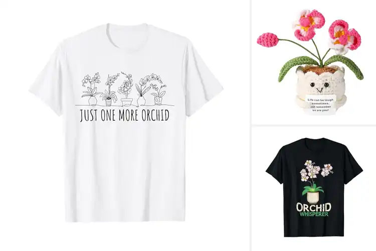 Detailed view of Best Orchid Presents: 10 Unique & Meaningful Gift Ideas