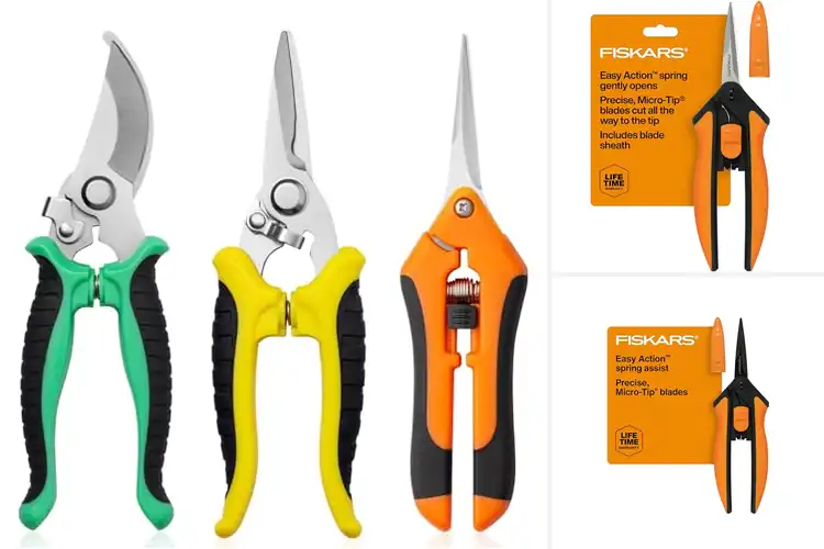 Detailed view of Best Stem Shears For Indoor Plants