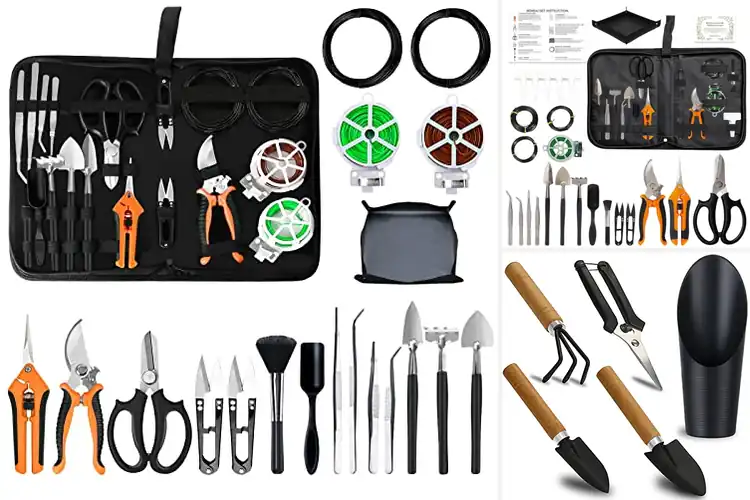 Detailed view of Best Succulent Pruning Sets