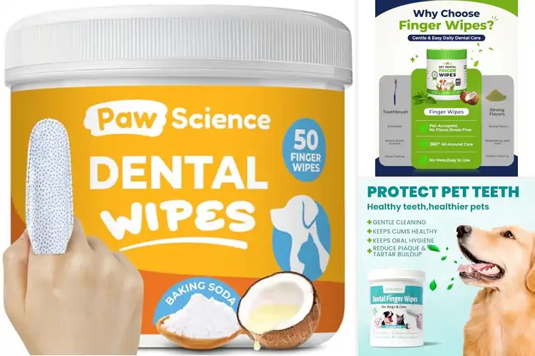 Detailed view of Best Teeth Cleaning Wipes for Dogs