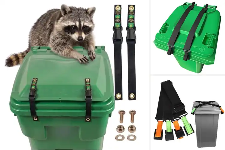 Detailed view of Best Trash Can Locks For Raccoons
